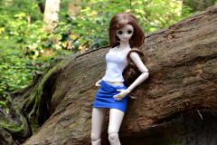 A wild DD appears!