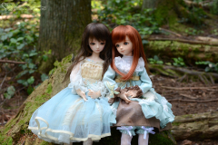 Forest Girls