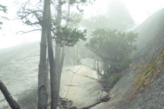 Hike to Stawamus Chief South Peak