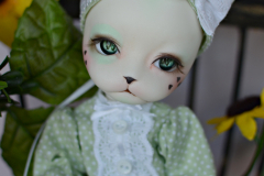 Mint Chocolate Chip