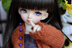 Shion