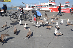 Fisherman's Wharf