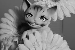 Col. Fluffington