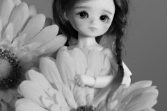 Minimato