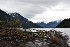 Cheekamus Lake