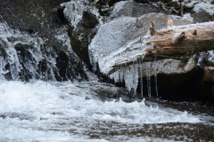 Frozen