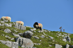 Ingleton Waterfall trail