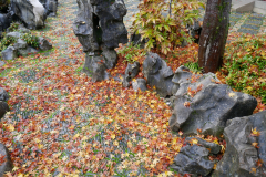 Sun Yat Sen Classical Garden