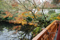 Sun Yat Sen Classical Garden
