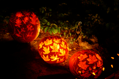 Van Dusen Halloween Nights