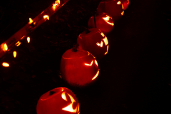 van-dusen-halloween-nights_30607909760_o