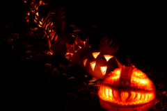 van-dusen-halloween-nights_30873043286_o