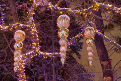 Van Dusen Festival of Lights