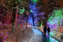 Van Dusen Festival of Lights