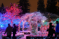 Van Dusen Festival of Lights