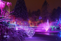 Van Dusen Festival of Lights