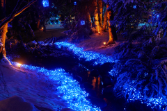 Van Dusen Festival of Lights