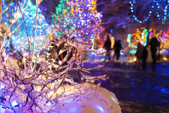 Van Dusen Festival of Lights