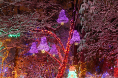 Van Dusen Festival of Lights
