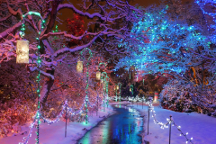 Van Dusen Festival of Lights