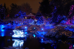 Van Dusen Festival of Lights