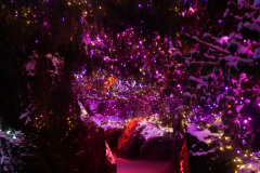 Van Dusen Festival of Lights