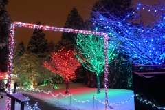 Van Dusen Festival of Lights