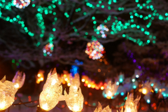 Van Dusen Festival of Lights