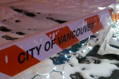 Van Dusen Festival of Lights