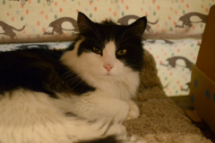 Pretty and my favourite