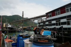 Tai O