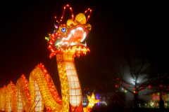 The dragon centrepiece