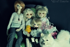 Airs' doll family