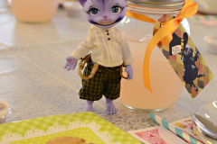 Col Fluffington at the tea party table