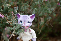 Col. Fluffington