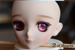 Volks DDS Akira