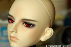 Crobidoll B-Line Yuri