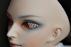 Delf LuWen Modded