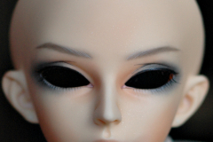 Delf LuWen Modded