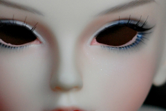 Dollcatch Stella