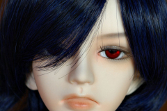 DollFamily LingFeng