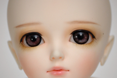 Dollga Noella