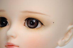 Dollga Noella