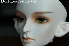 DollLeaves Xavor
