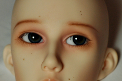 Dollshe Bernard OE