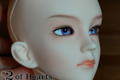 Migidoll Shion (girl)