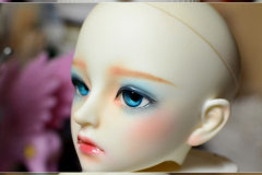 nDoll Aiko/Little Monica Sophia