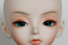 Peakswoods Wake up Goldie