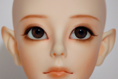 Soom Coquina B