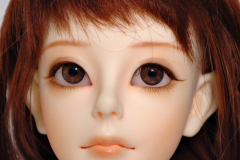 Soom Coquina